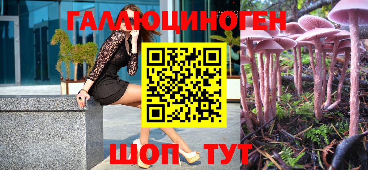 Псилоцибиновые грибы MAGIC MUSHROOMS Корсаков